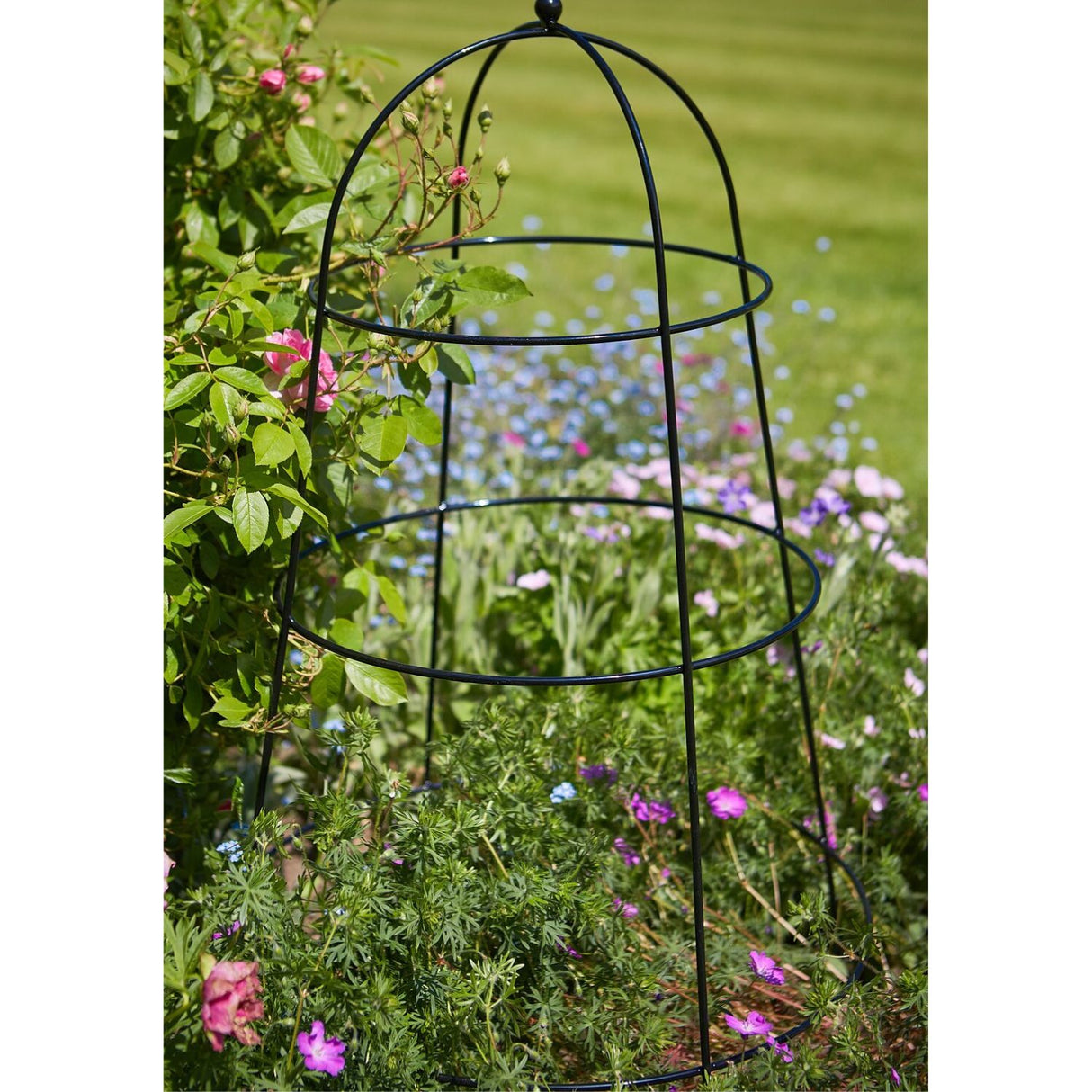 Tom Chambers 90cm Flower & Plant Cloche