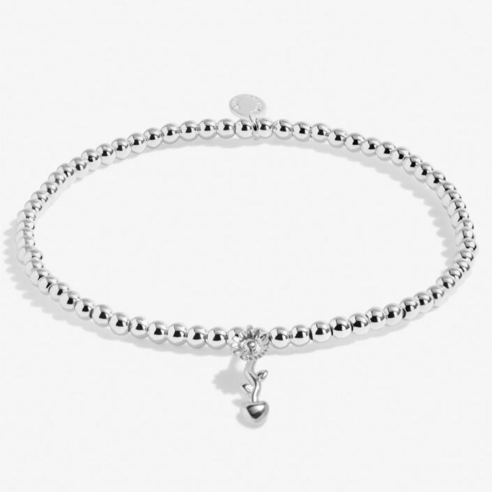 Joma Jewellery Silver A Little 'Teachers Plant Seeds That Grow Forever' Bracelet