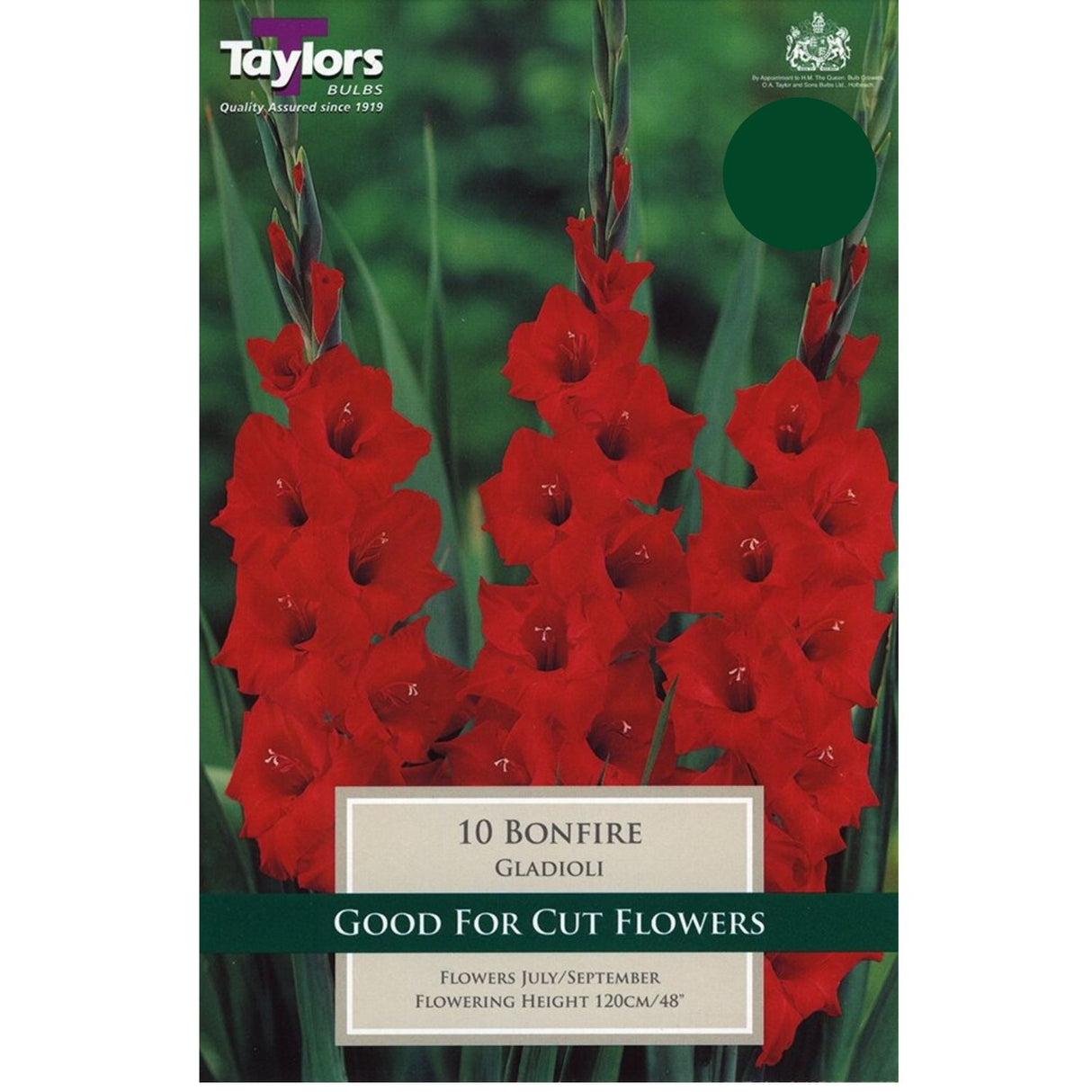 Taylors 10 Gladioli Bonfire Corms