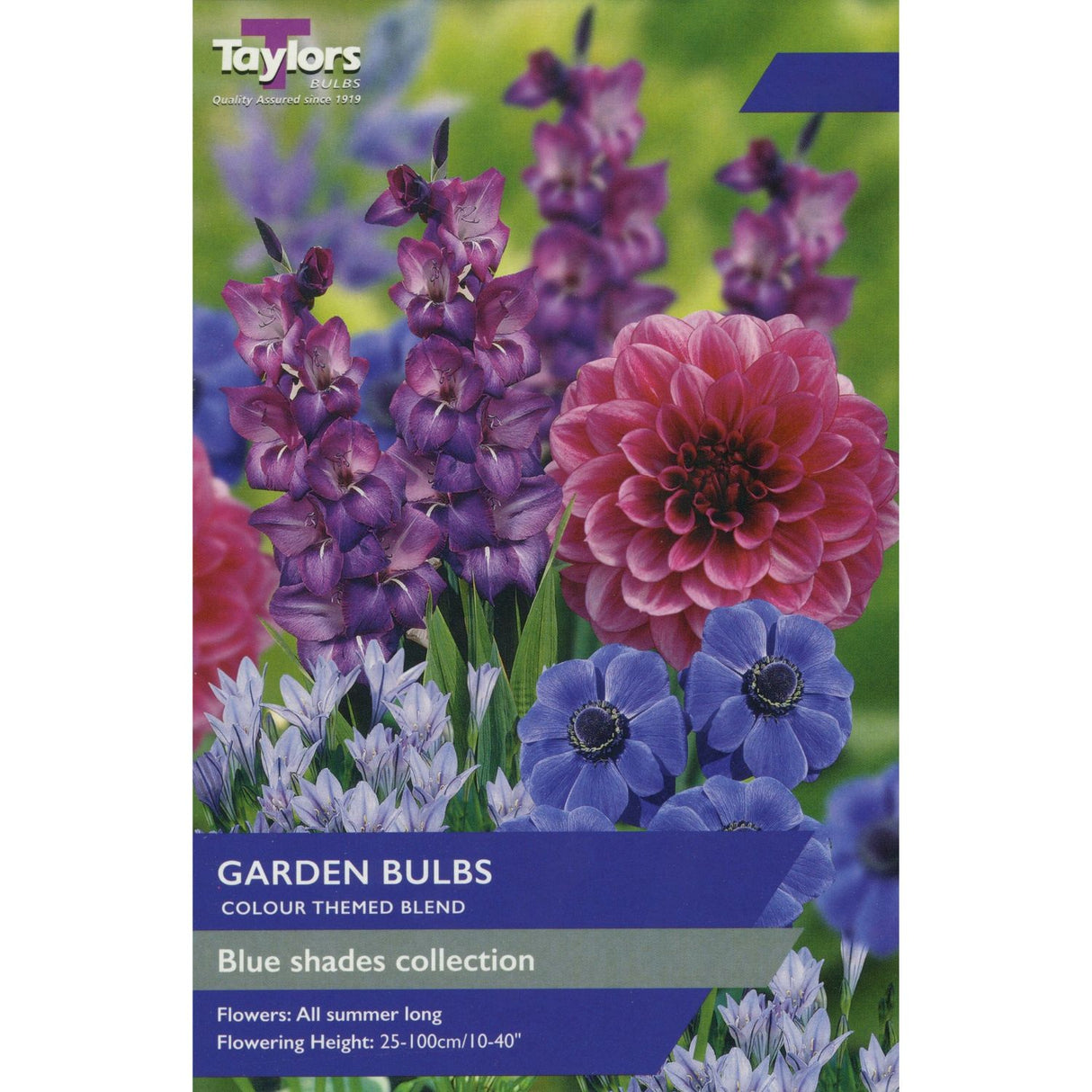 Taylors 25 Garden Bulbs Blue Shades Collection