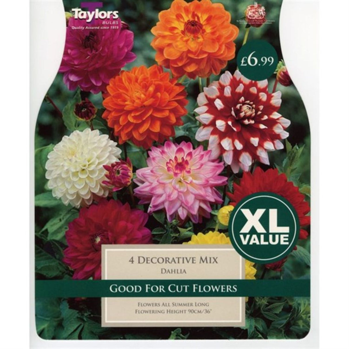 Taylors 3 Dahlia Decorative Mix Tubers