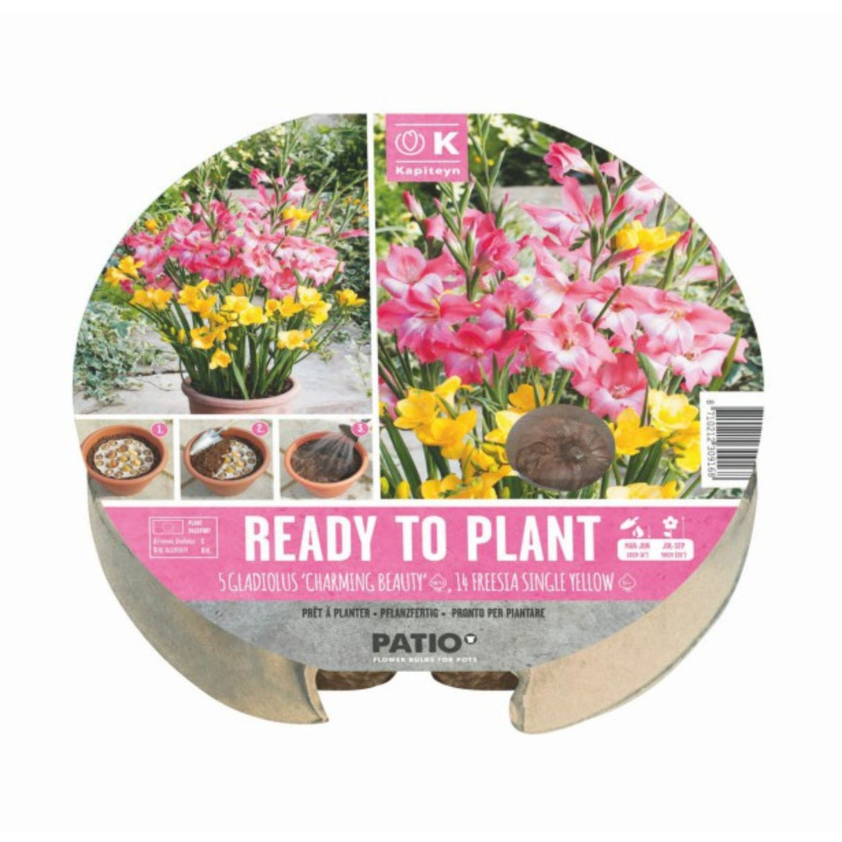Kapiteyn 19 Plant-O-Mat Tray Gladiolus ‘Charming Beauty’ & Freesia