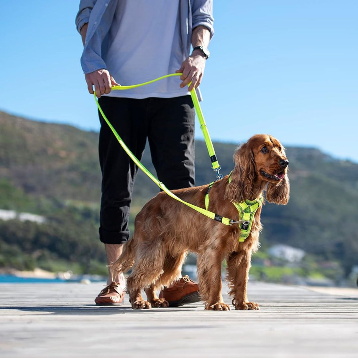 Rogz Control Dog Harness Black - Large