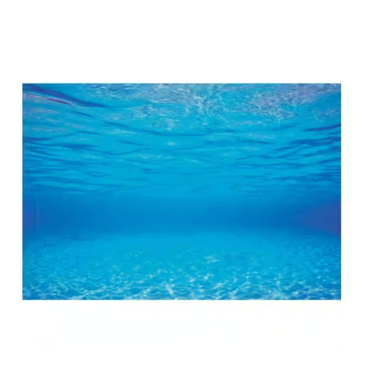 Juwel XL Blue Water Fish Tank Poster (Double Sided)