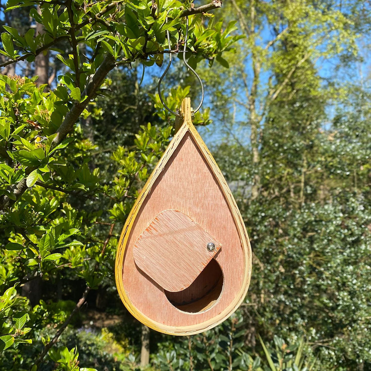 GreenKey Hanging Teardrop Bird Box