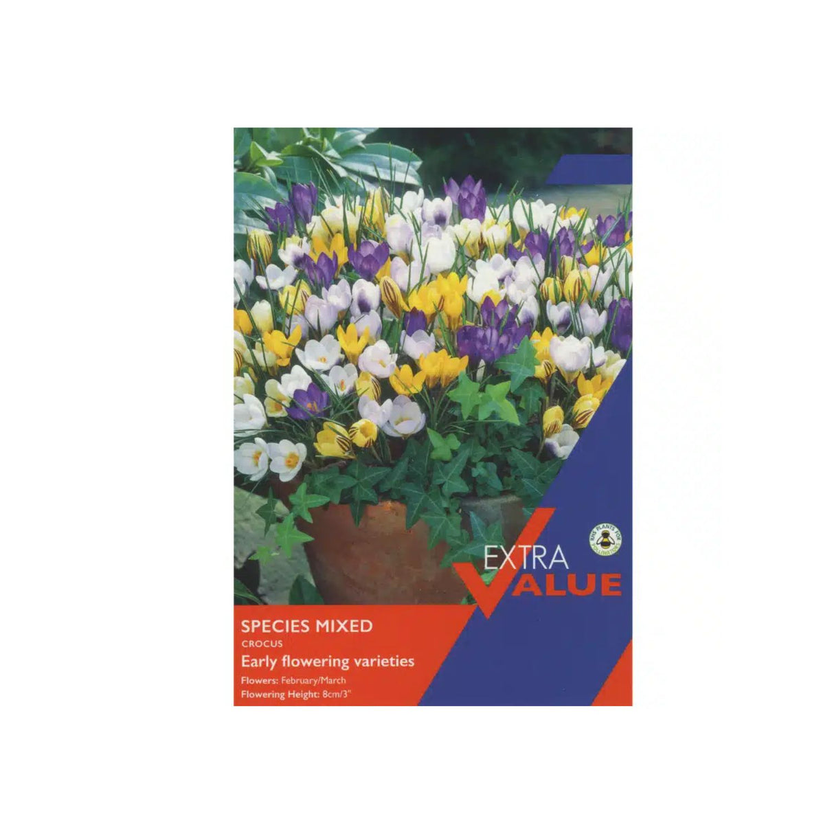 Taylors 25 Mixed Species Crocus Bulbs