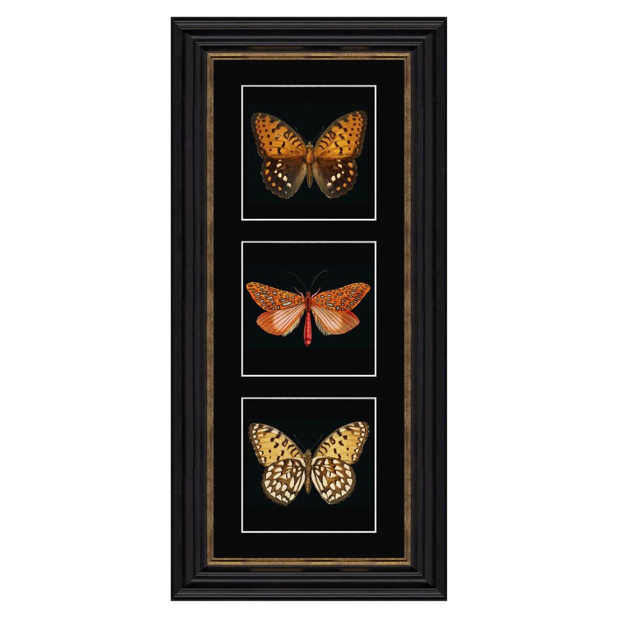Artko 57cm 'Orange Butterflies' Frame Printed By Triptych