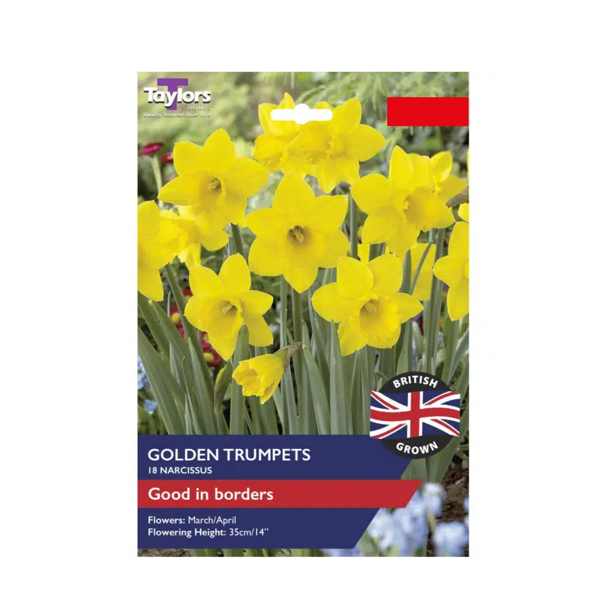 Taylors 18 Narcissus Golden Trumpets Bulbs