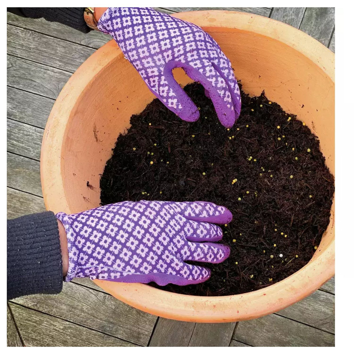 Miracle-Gro All Purpose Continuous Release Plant Food