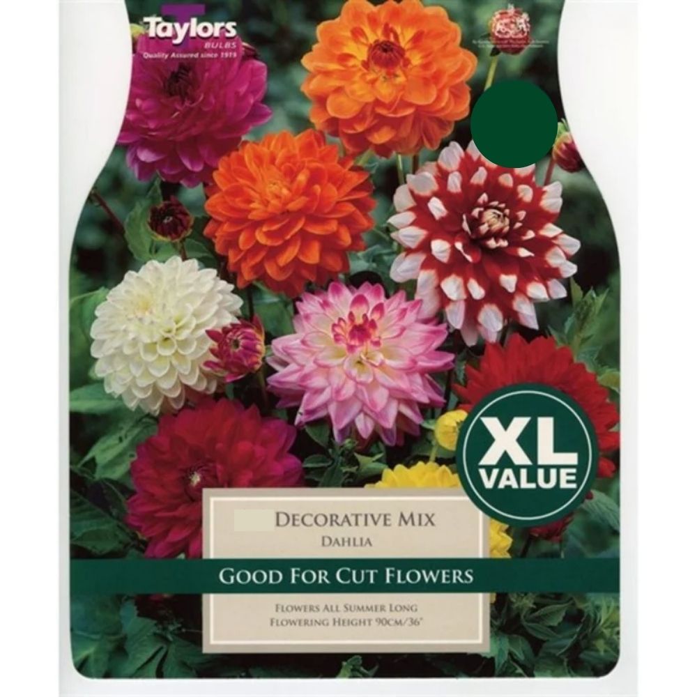 Taylors 3 Dahlia Decorative Mix Tubers