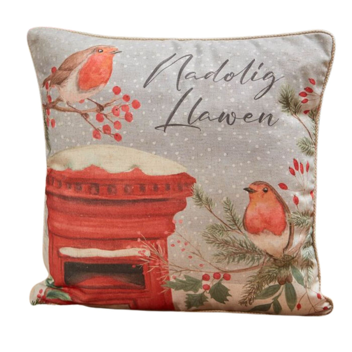 Richard Langs Welsh Christmas Robin Cushion