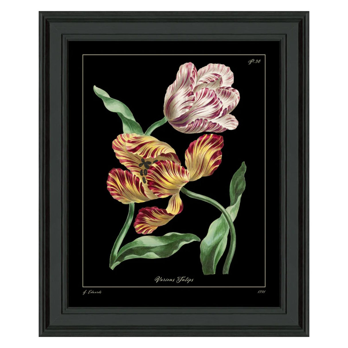 Artko 59cm 'Tulips Lily' Frame Printed By Botanical