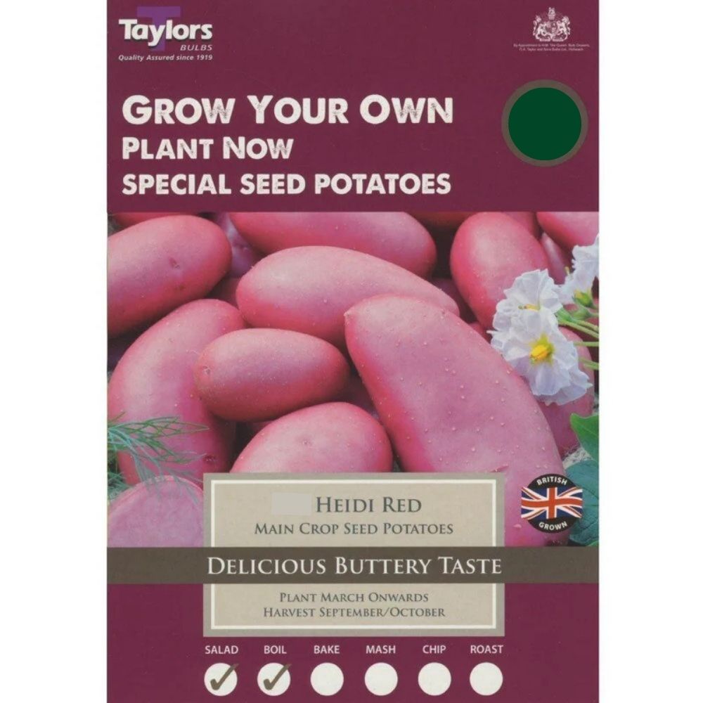 Taylors 10 Heidi Red Special Main Crop Seed Potatoes