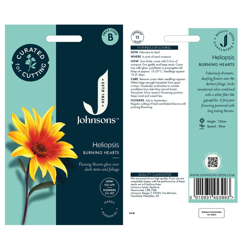 Johnsons Heliopsis Burning Hearts Seeds