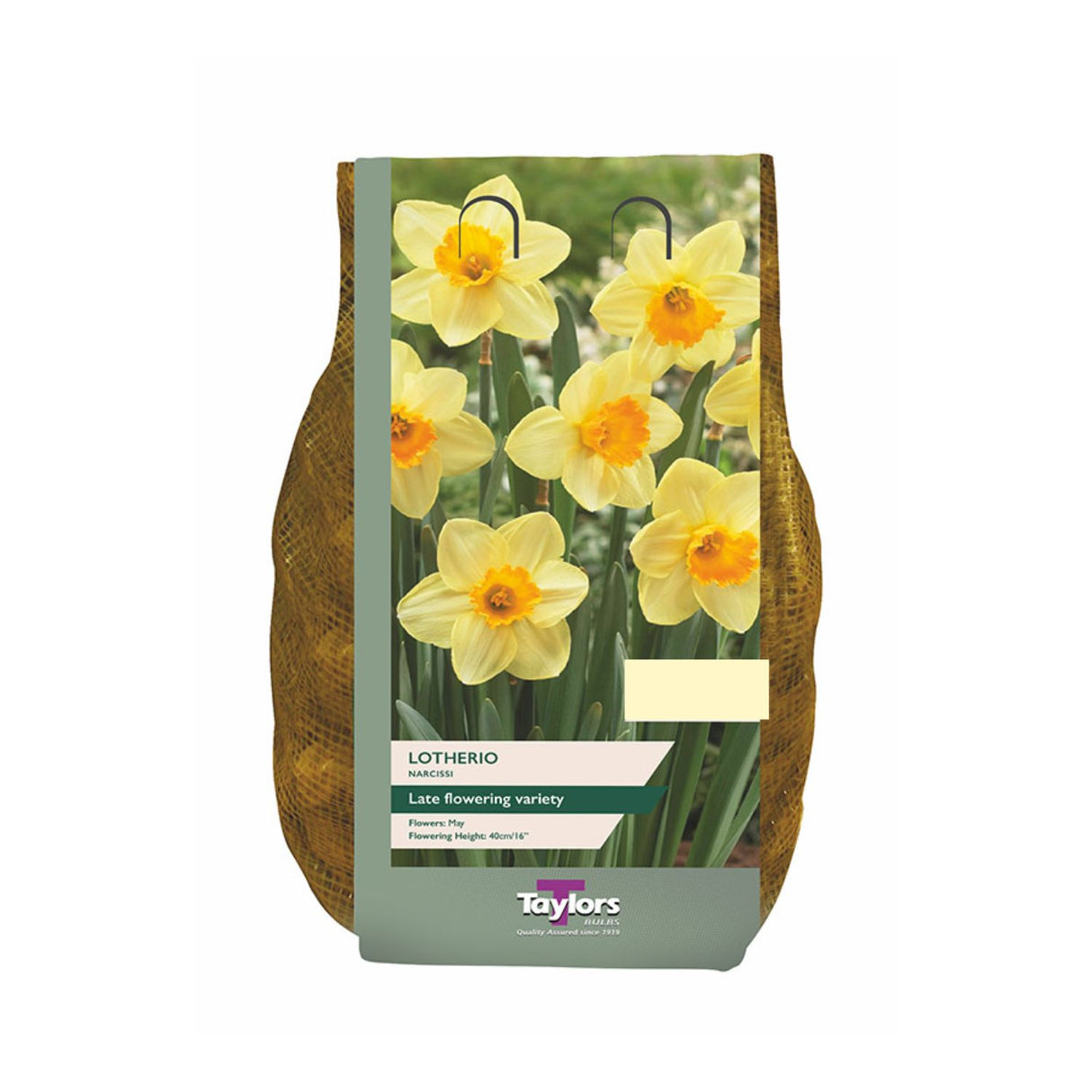 Taylors 1.5kg Narcissi Lotherio - 2 FOR £12