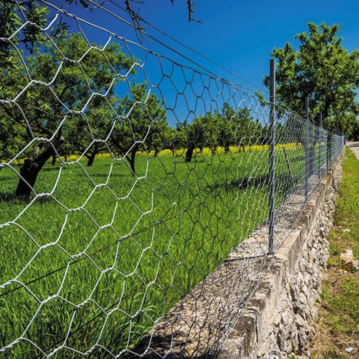 Smart Garden Galvanised Hexagonal Wire Netting 13mm 1x10m