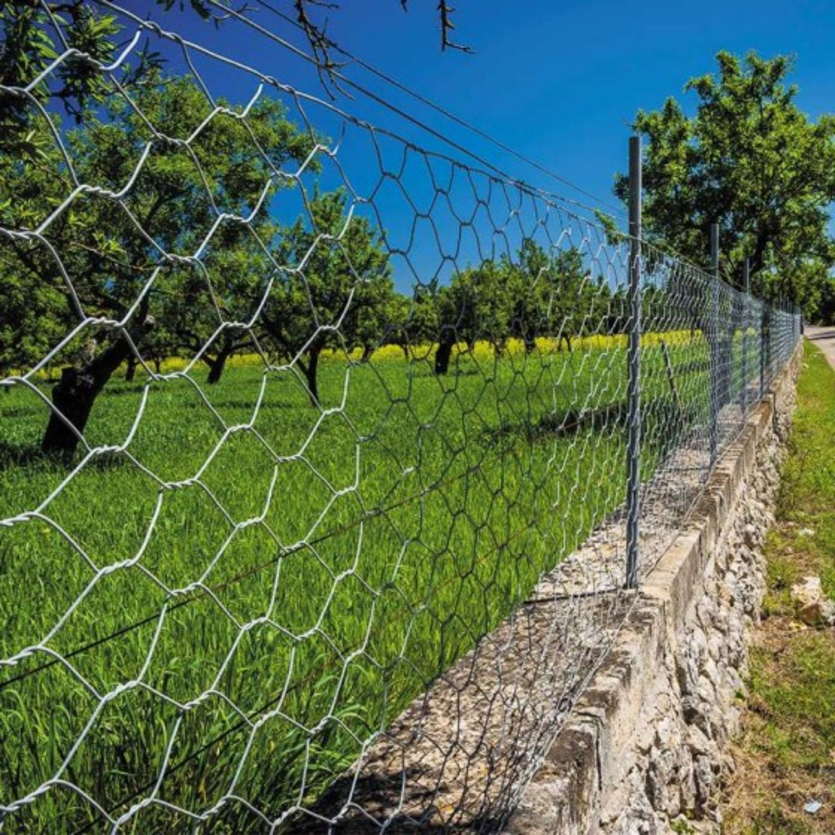 Smart Garden Galvanised Hexagonal Wire Netting 50mm 0.5x10m