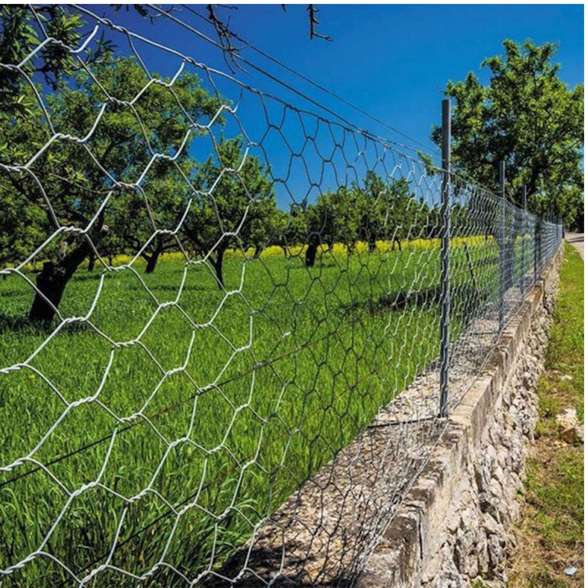 Smart Garden Hexagonal Wire Netting 13mm 0.5x10m
