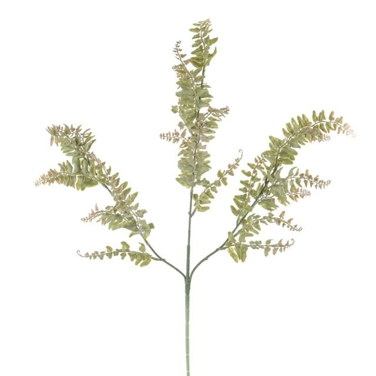 CB Imports 60cm Flora Fern Spray