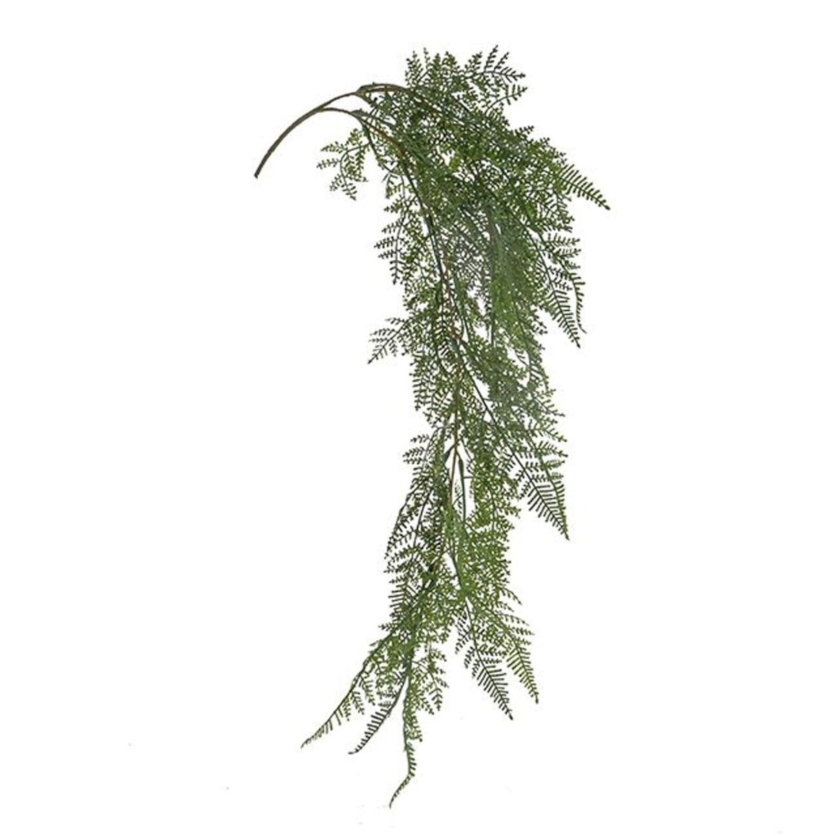 CB Imports Fern Trailing Spray