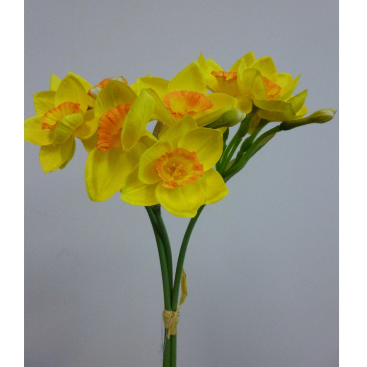 CB Imports 42cm Yellow Narcissus Bundle