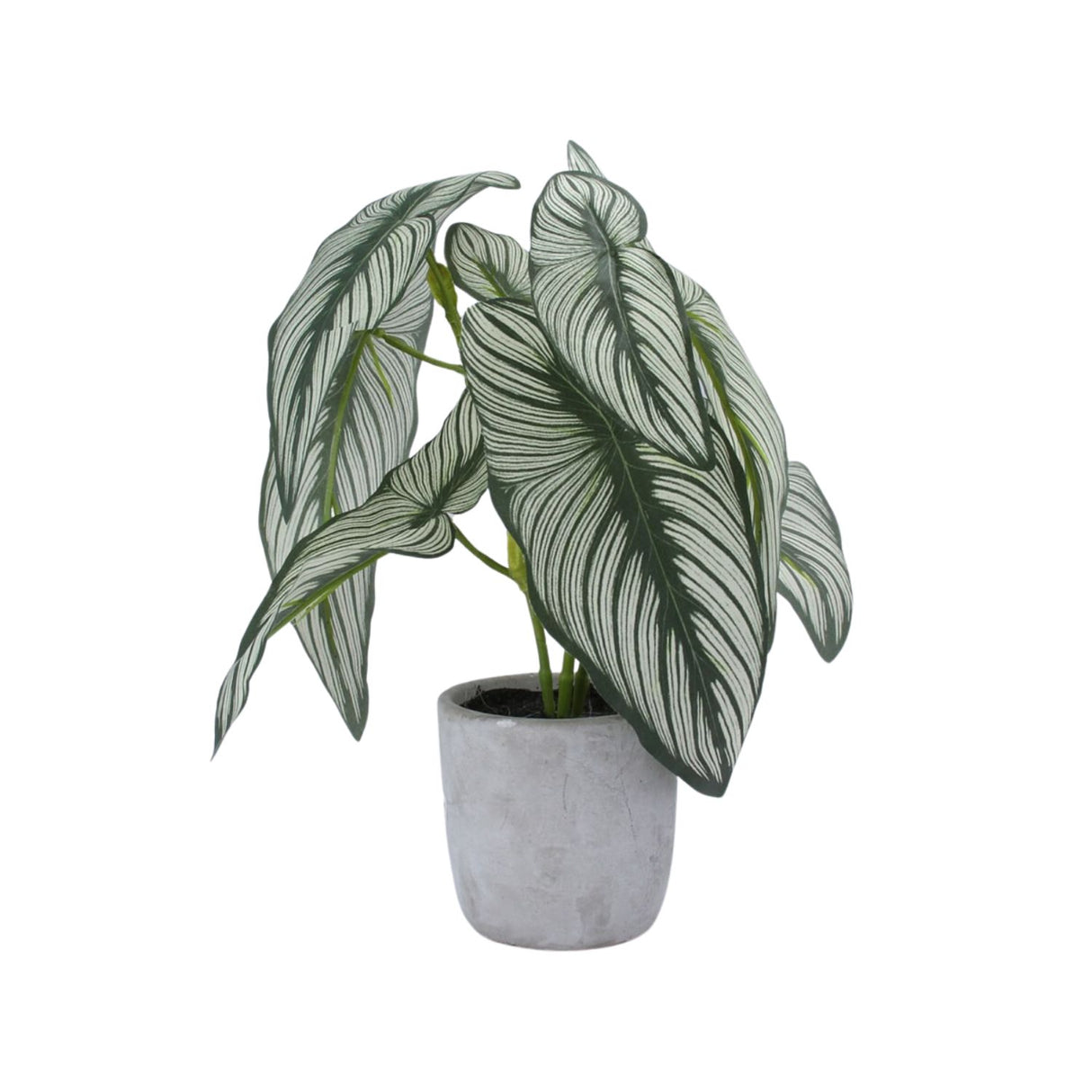 Gisela Graham Faux Variegated Begonia in Pot