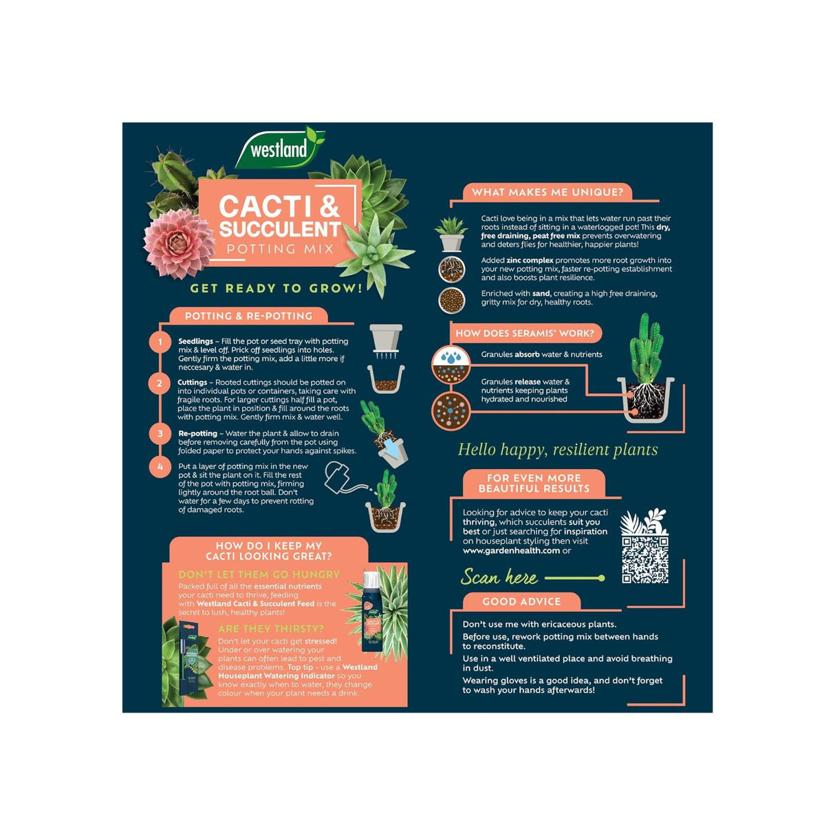 Westland 4L Cacti & Succulent Potting Mix Peat Free Compost