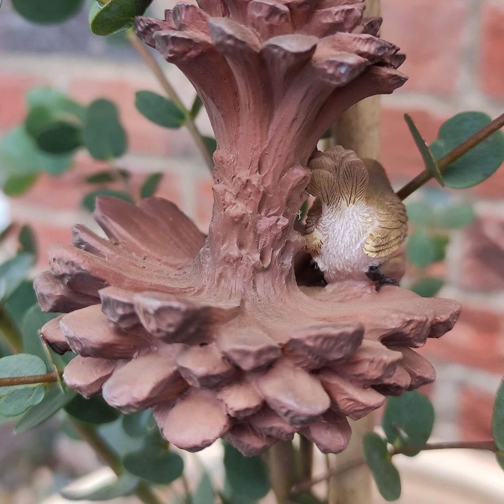 Vivid Arts 7.8cm Hanging Mini Robin In Pine cone