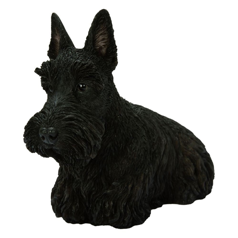 Vivid Arts Black Scottish Terrier