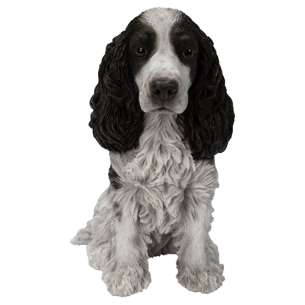 Vivid Arts Black/White Cocker Spaniel