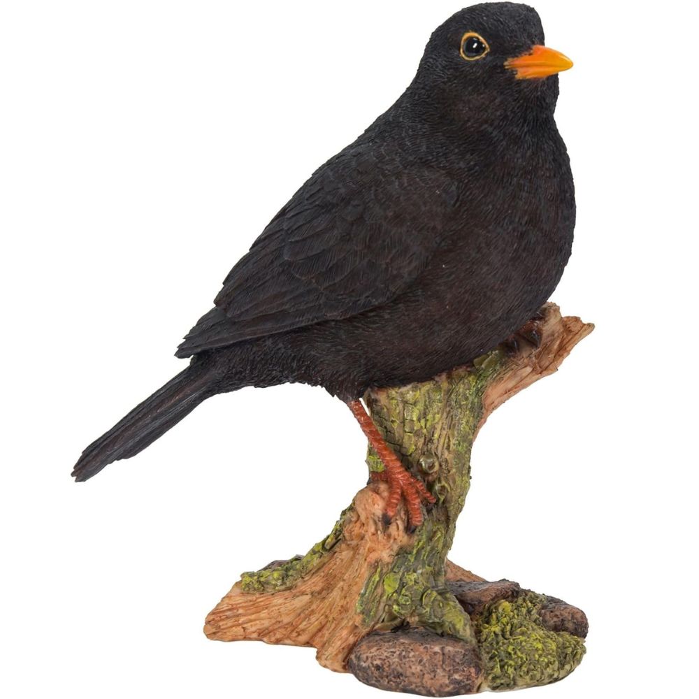 Vivid Arts Garden Birds Blackbird - WBC-BLBD-D