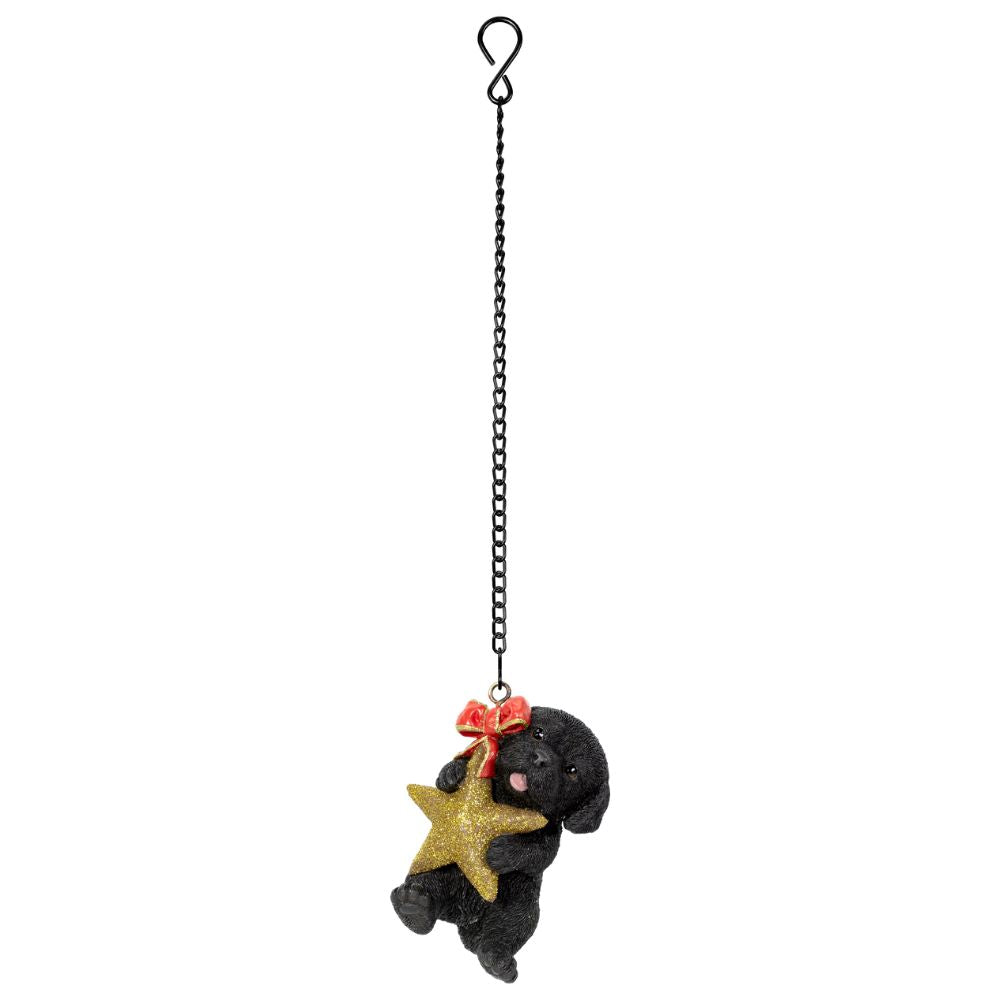 Vivid Arts Hanging Black Labrador with Star Pet Pal