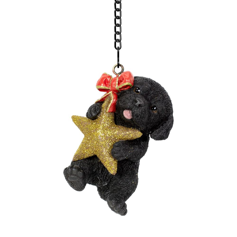 Vivid Arts Hanging Black Labrador with Star Pet Pal