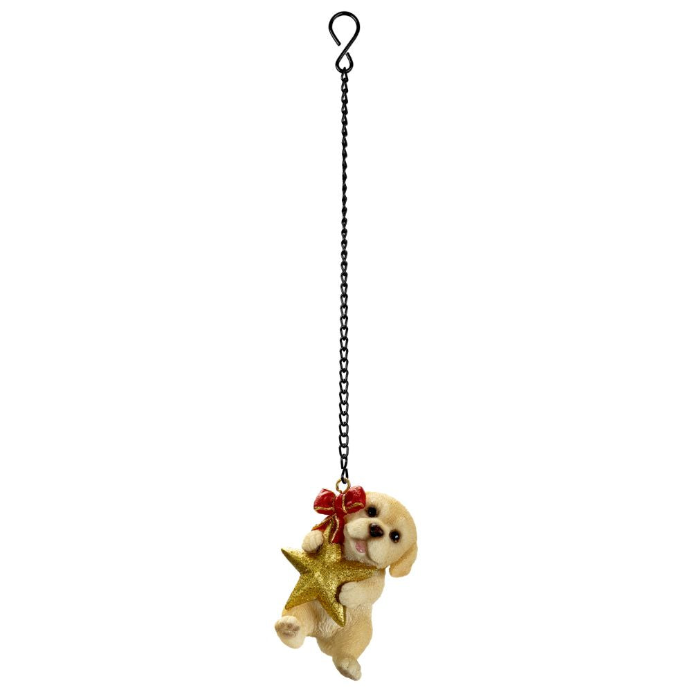 Vivid Arts Hanging Golden Labrador with Star Pet Pal