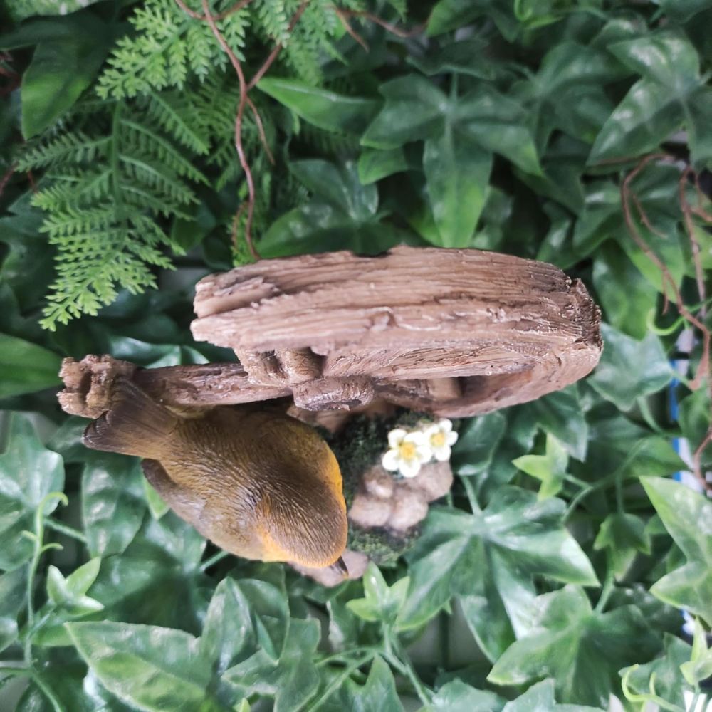 Vivid Arts Robin with Cartwheel - BG-RB10-F