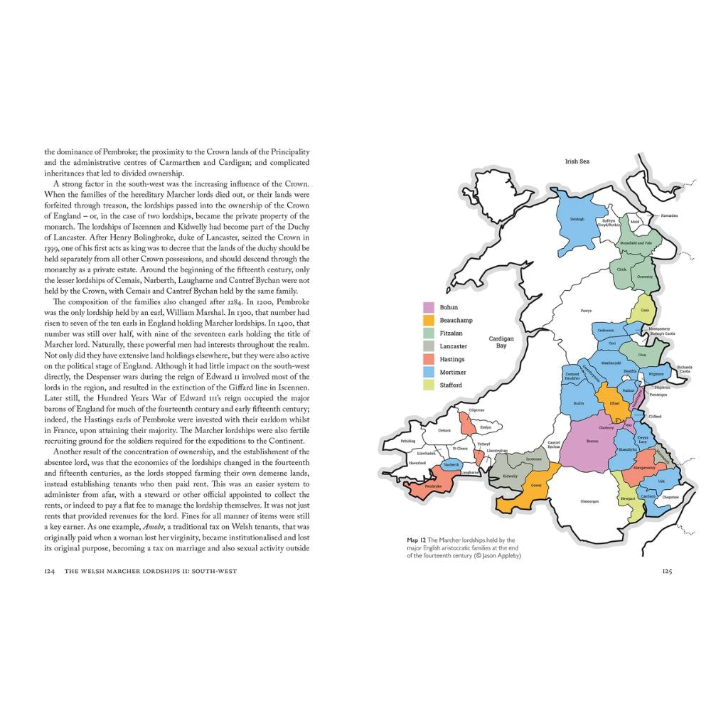 Welsh Marcher Lordships, The: South-west (Pembrokeshire & Carmarthenshire) by John Fleming
