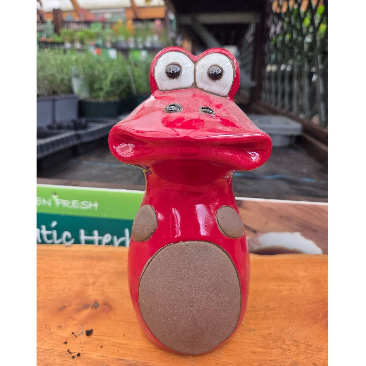 Woodlodge 20cm Glazed Frog Garden Ornament - Red