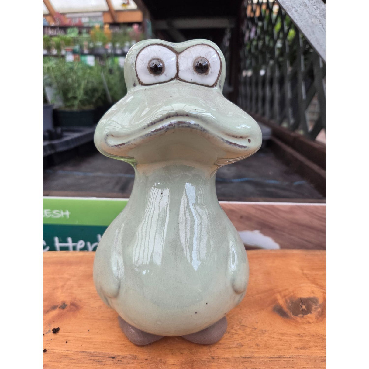 Woodlodge 21.5cm Glazed Frog Garden Ornament - Green
