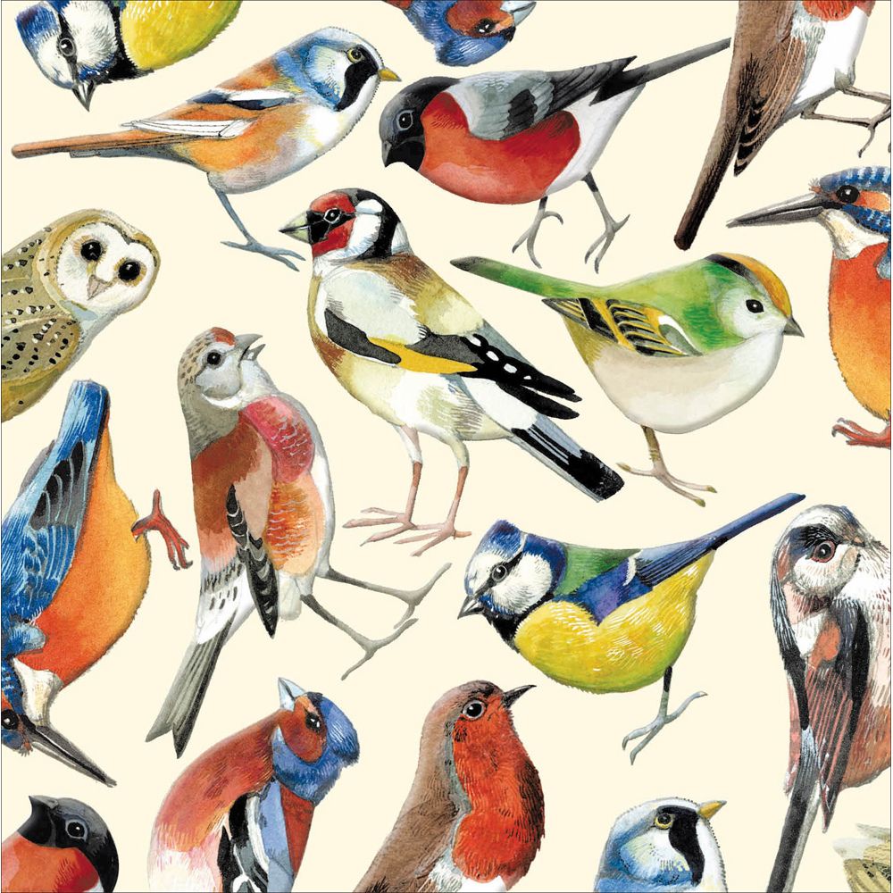 Woodmansterne Birds Blank Card