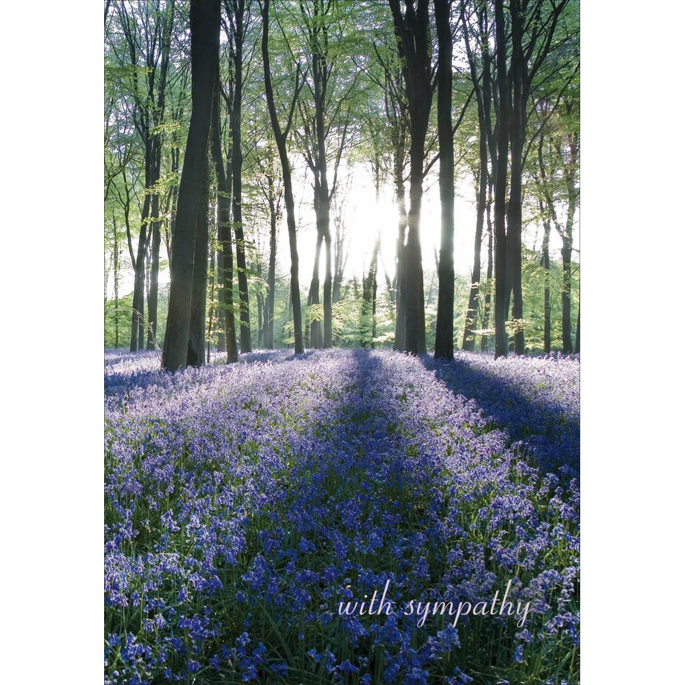 Woodmansterne Bluebells Shining Light Sympathy Card