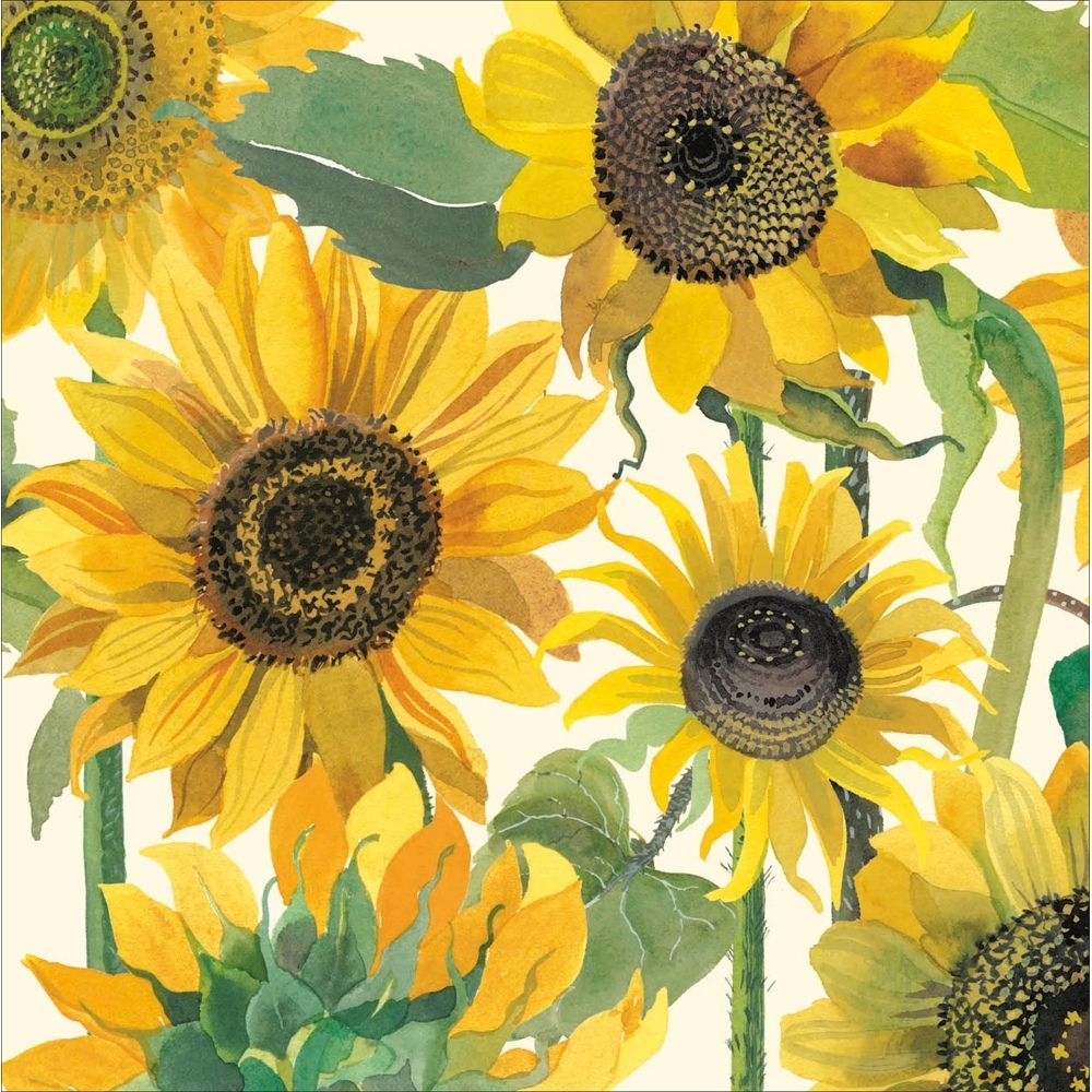 Woodmansterne Bright Sunflowers Blank Card