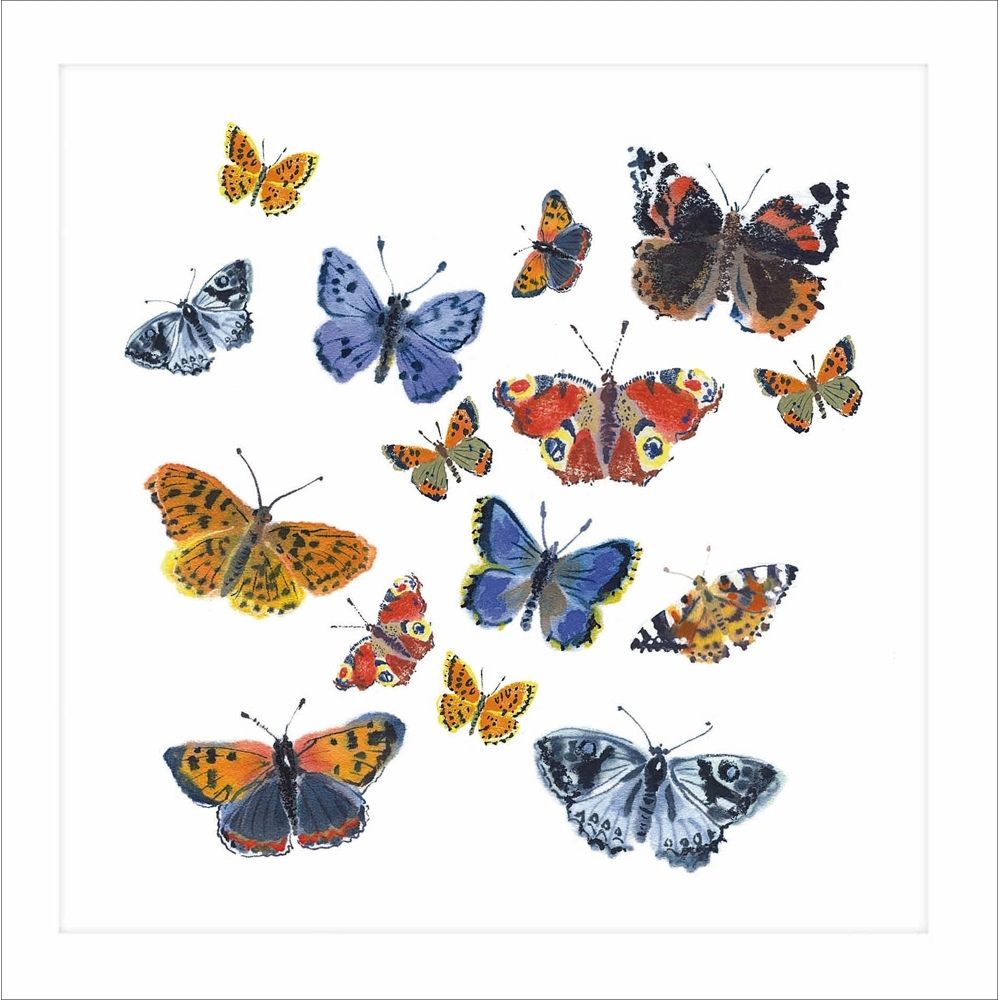 Woodmansterne Butterflies Blank Card