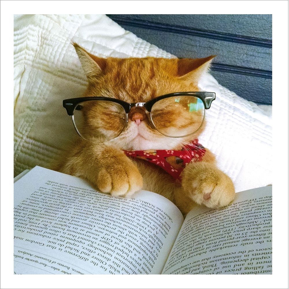 Woodmansterne Cat Bookworm Blank Card