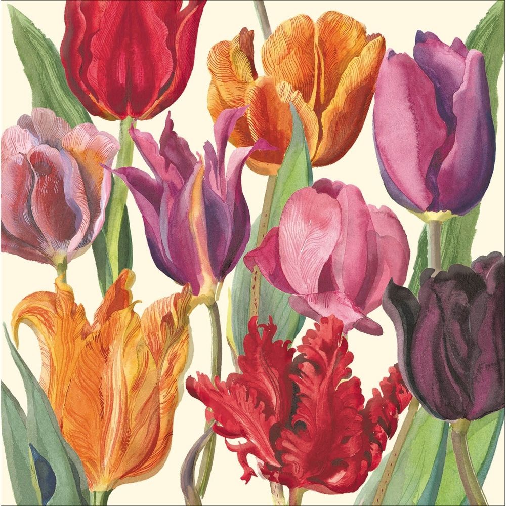 Woodmansterne Colourful Tulips Blank Card