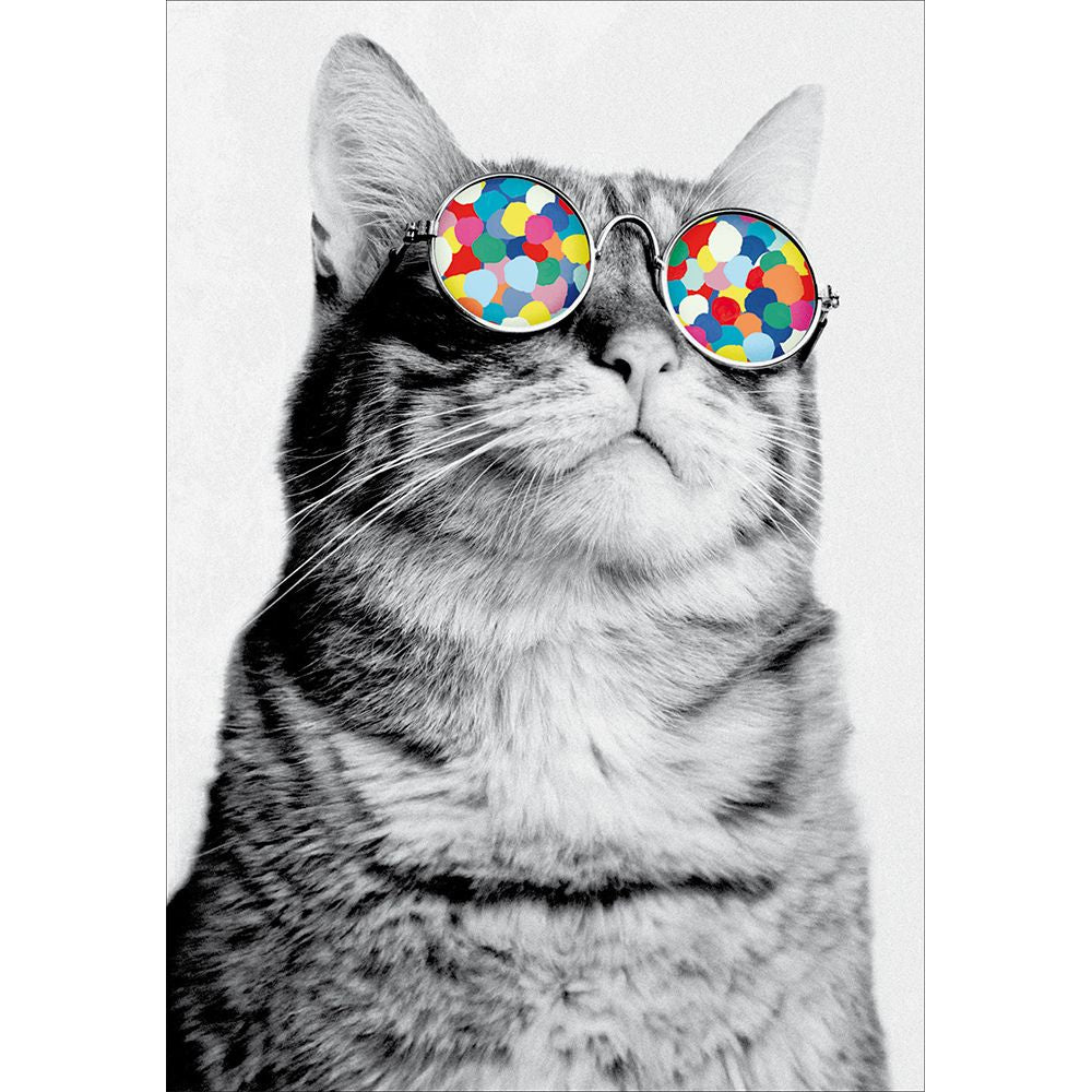 Woodmansterne Cool Cat Funny Blank Card
