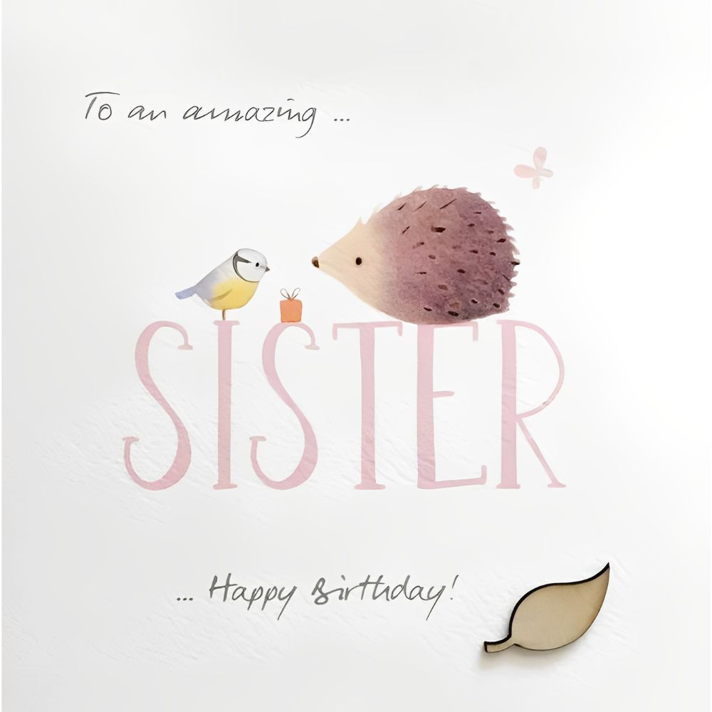 Woodmansterne Sister Hedgehog & Tit Birthday Card