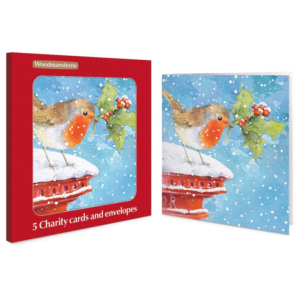 Woodmansterne Robin Standing on Postbox Boxed Christmas Cards - Pack of 5