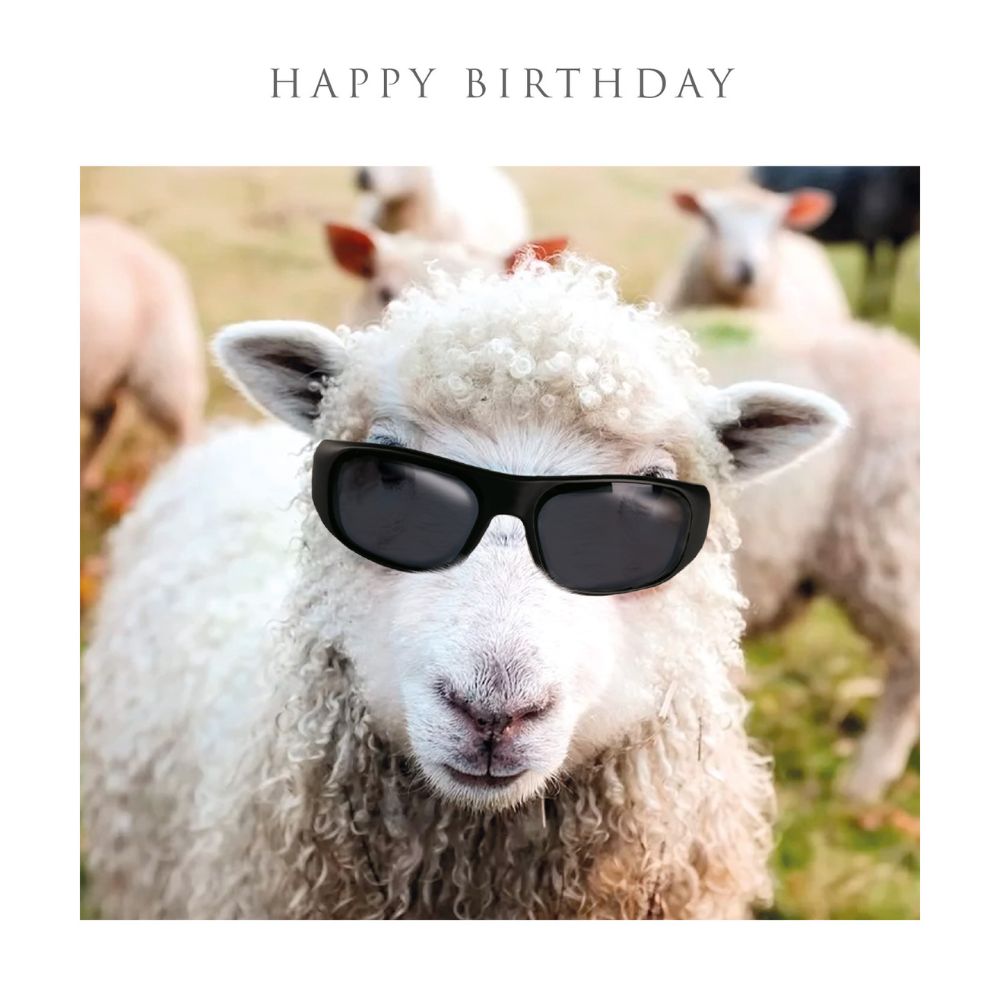 Woodmansterne Sheep in Shades Birthday Card