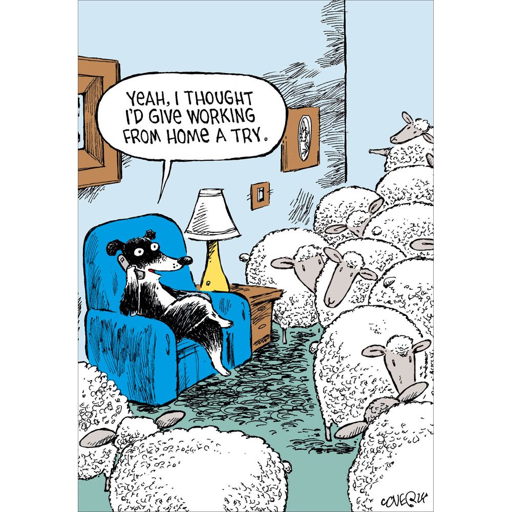 Woodmansterne Working From Home Sheep Dog Funny Blank Card