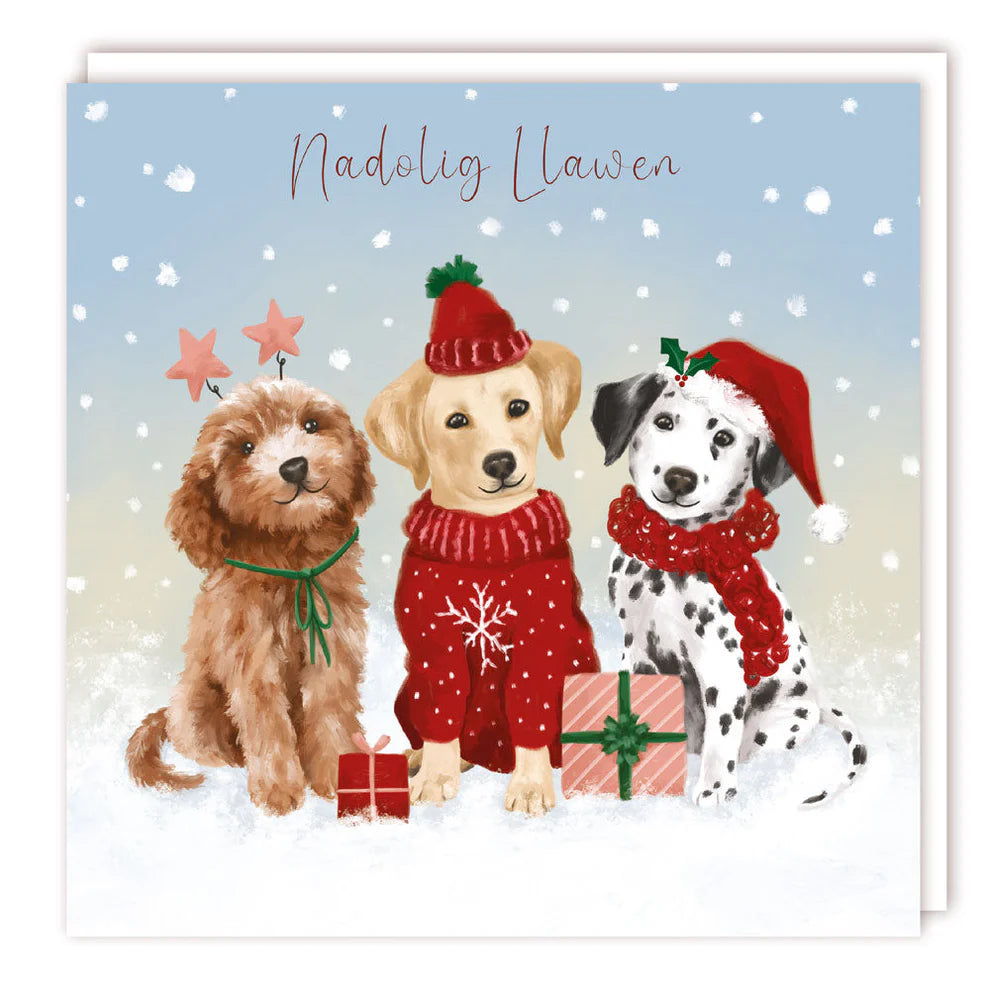 Tracks Publishing Nadolig Llawen Three Dogs Charity Cards - (Pack of 5)